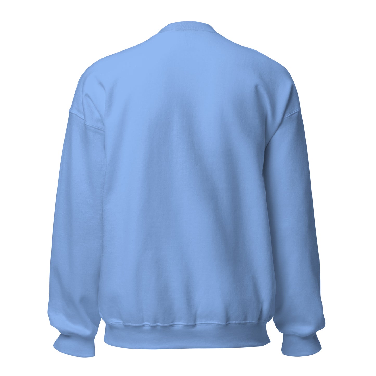 Sudadera Espanyol azul carolina equipo fútbol 1900 con periquito back