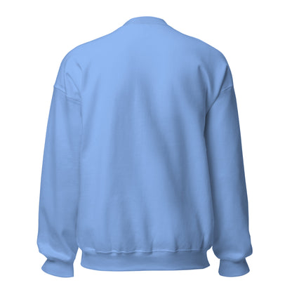 Sudadera Espanyol azul carolina equipo fútbol 1900 con periquito back
