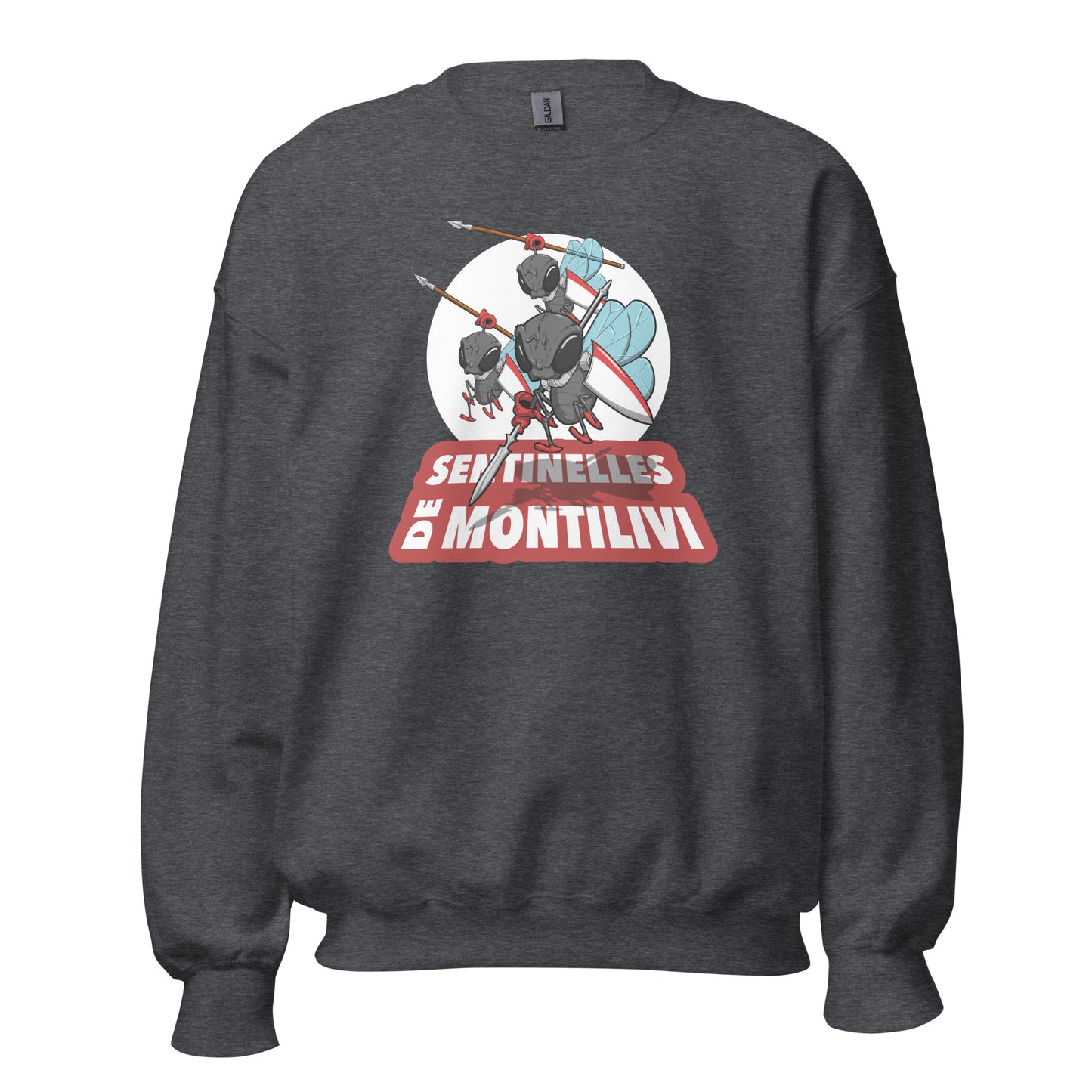 Sudadera Girona gris equipo fútbol Sentinelles Montillivi Sisa front