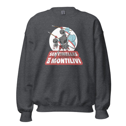 Sudadera Girona gris equipo fútbol Sentinelles Montillivi Sisa front