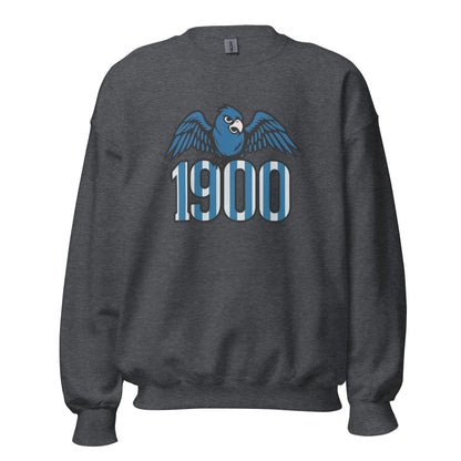 Sudadera Espanyol gris equipo fútbol 1900 con periquito front