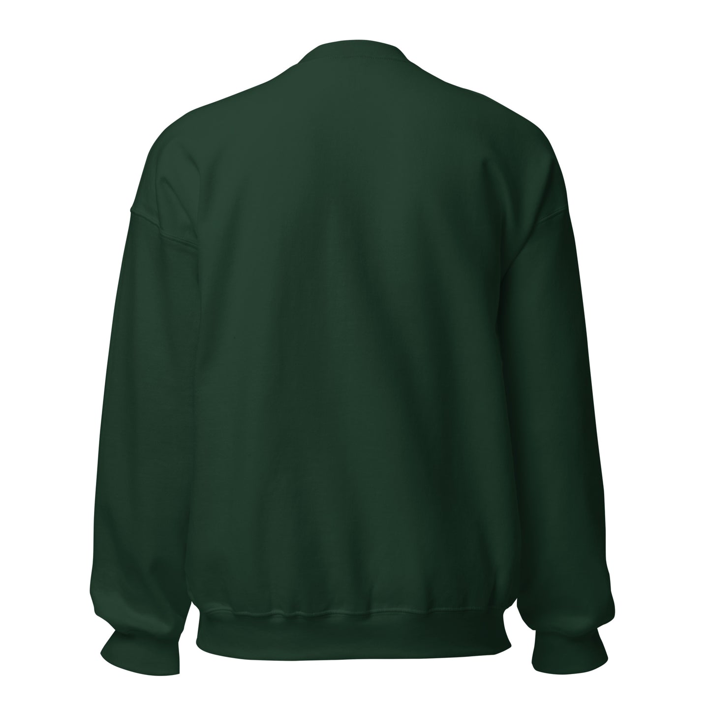 Sudadera Racing Santander verde oscuro equipo fútbol oso cacho back