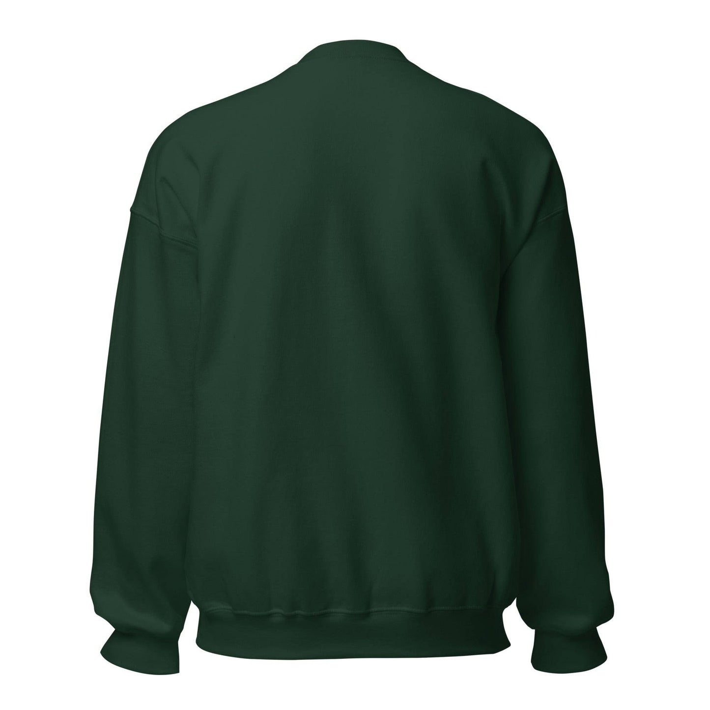 Sudadera Racing Santander verde equipo fútbol Rey en el Norte back