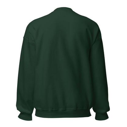 Sudadera Racing Santander verde equipo fútbol Rey en el Norte back