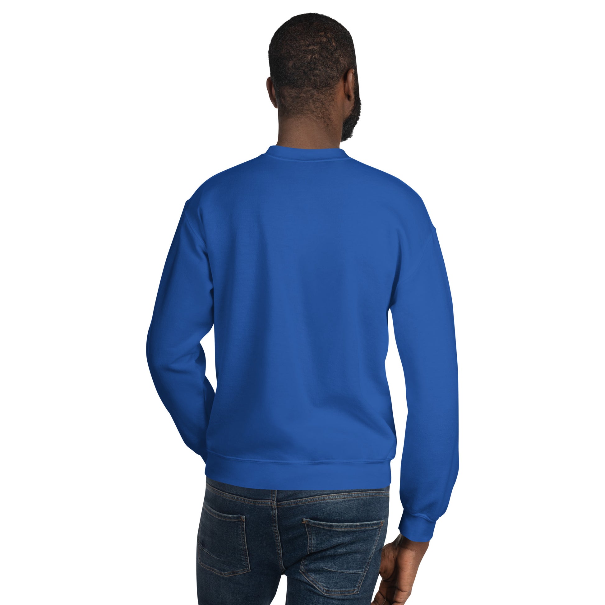 Sudadera azul Real Oviedo equipo fútbol Oviedines back