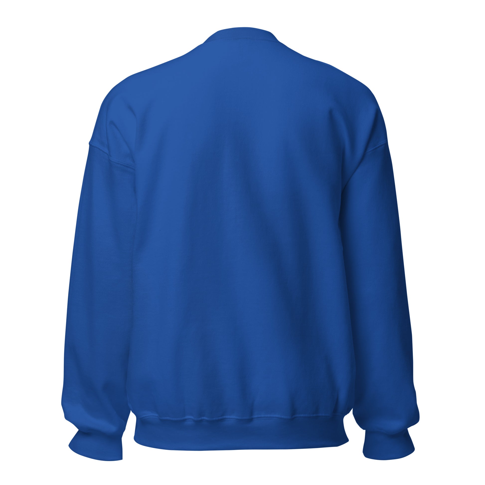 Sudadera azul Real Sociedad equipo fútbol Txuri Urdin back