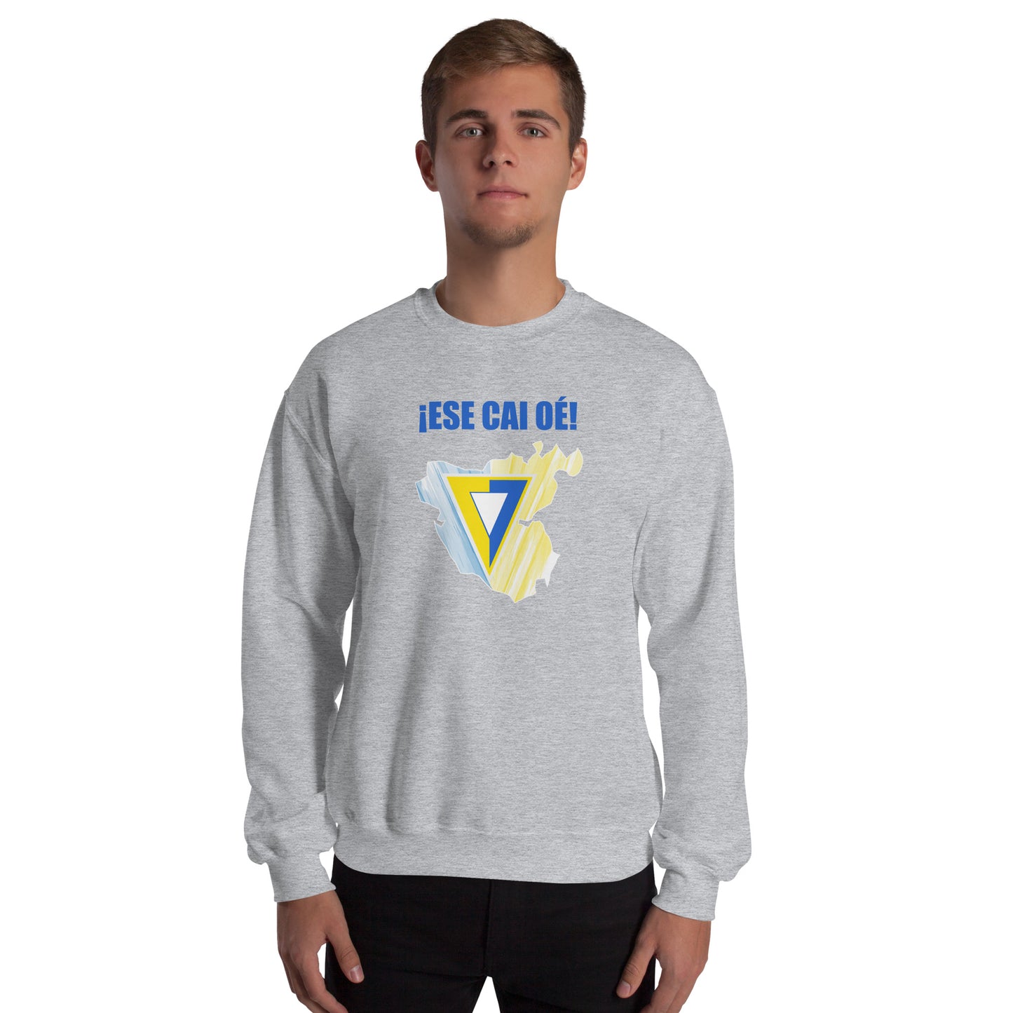 Sudadera gris Cádiz equipo fútbol Ese Cai Oé front