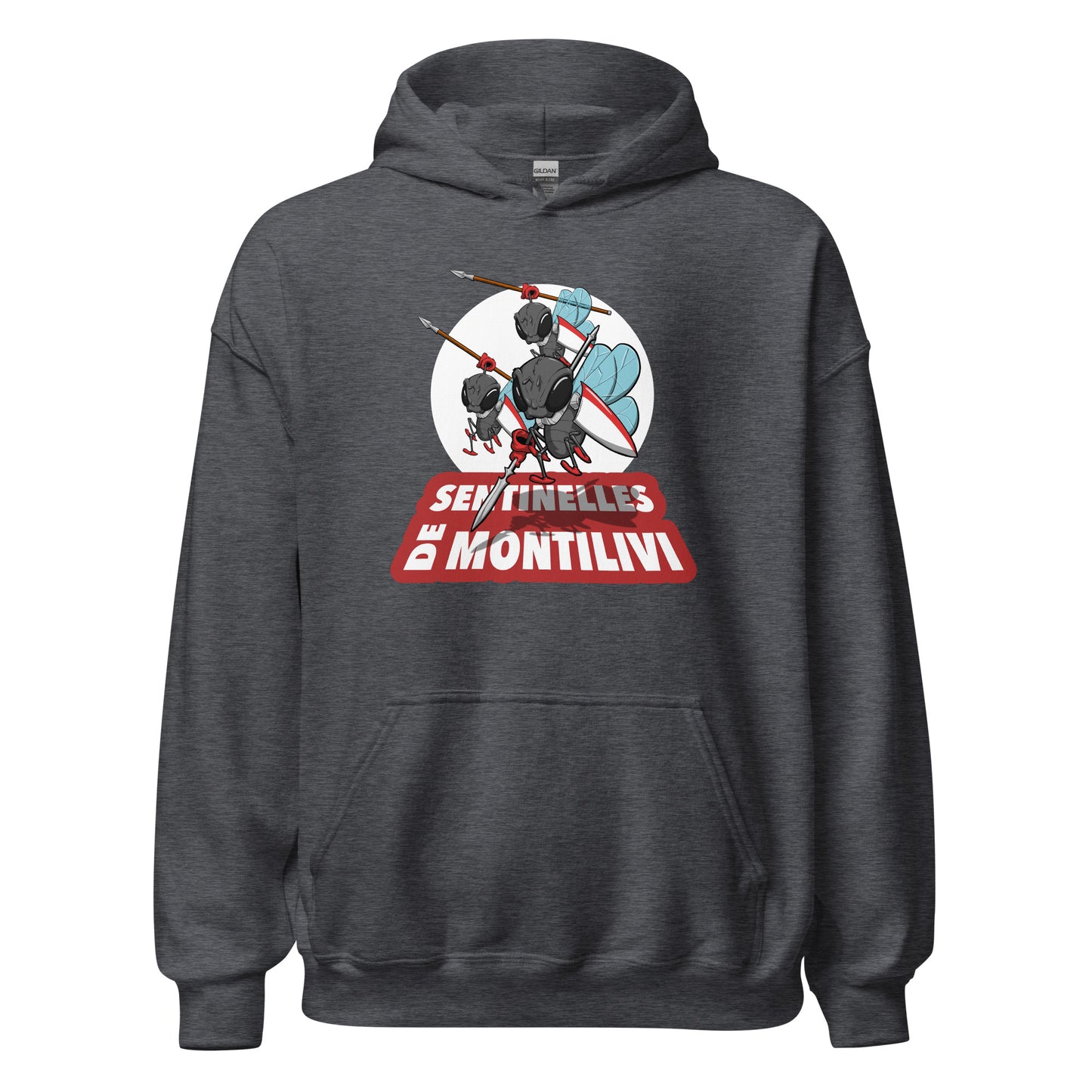 Hoodie Girona gris equipo fútbol Sentinelles Montillivi Sisa front