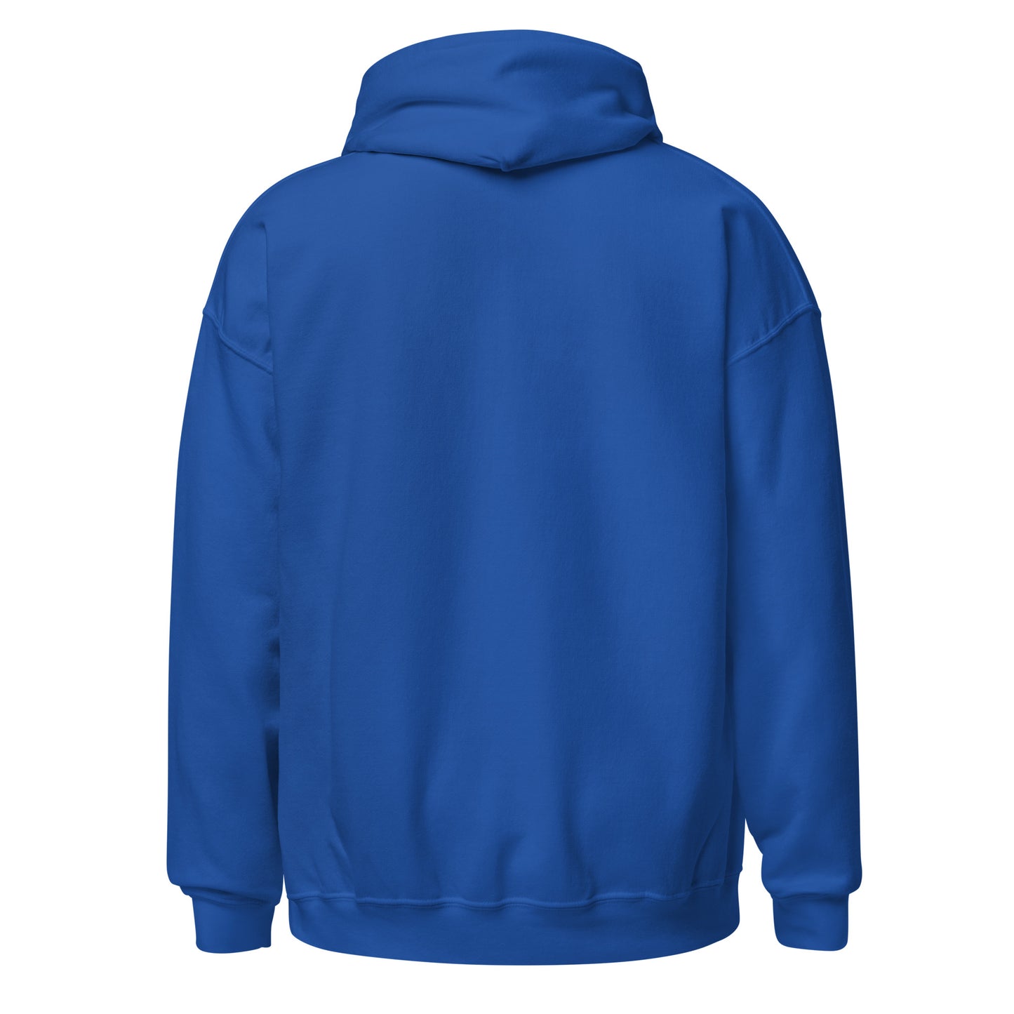 Sudadera capucha azul Real Sociedad equipo fútbol Txuri Urdin back