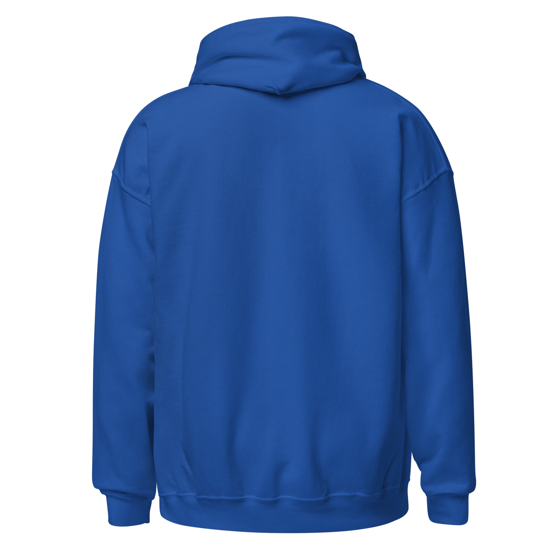 Sudadera capucha Deportivo Coruña azul equipo fútbol La Piña Mecánica back