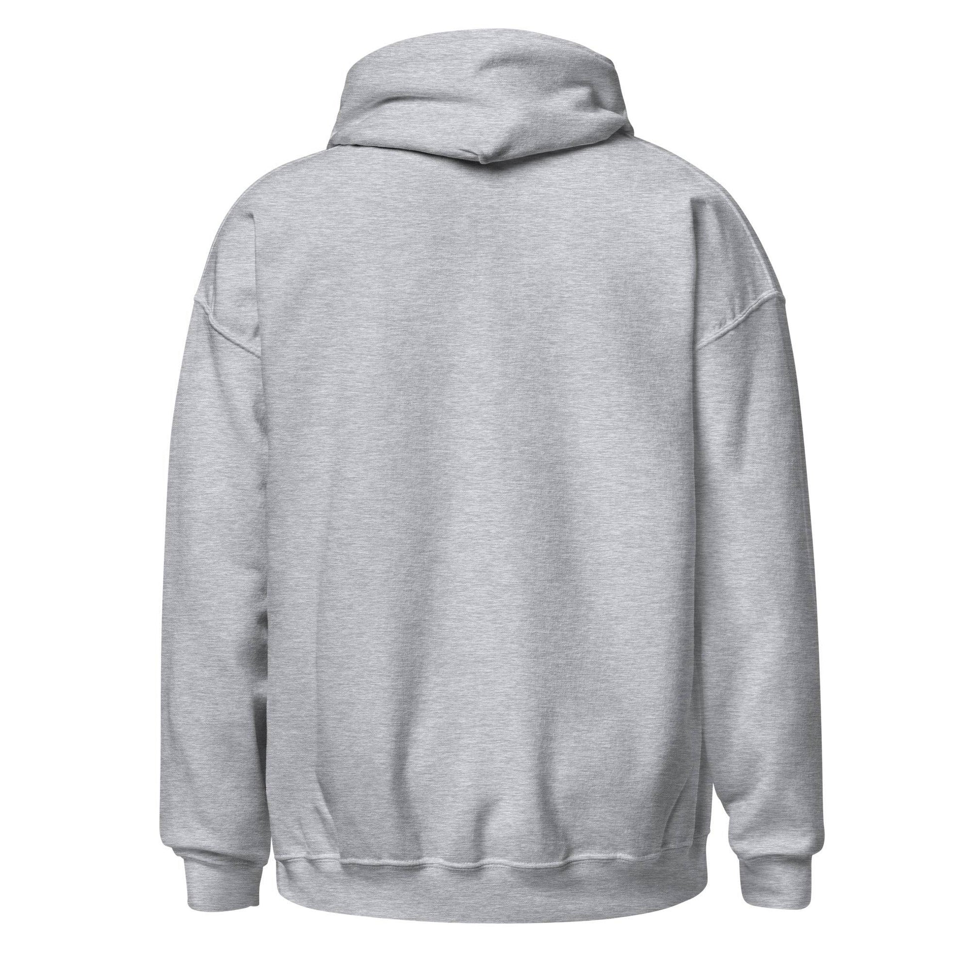 Sudadera capucha gris Elche equipo fútbol Fuerza Ilicitana Palmera back