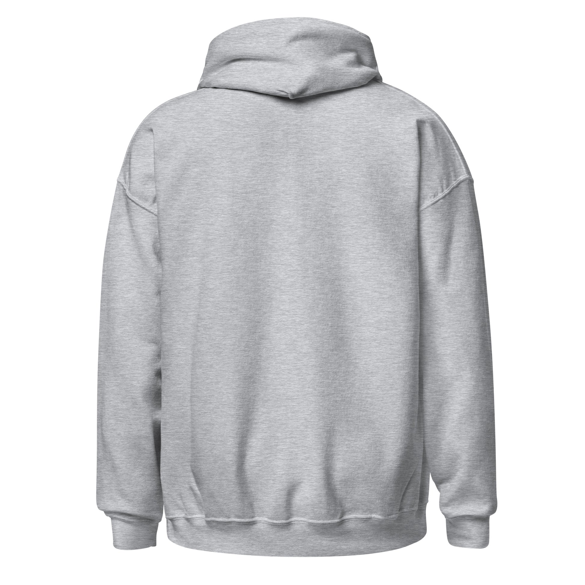 Hoodie Málaga gris claro equipo fútbol Somos Boquerones back
